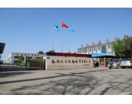 美麗的金鋒鋸業(yè)